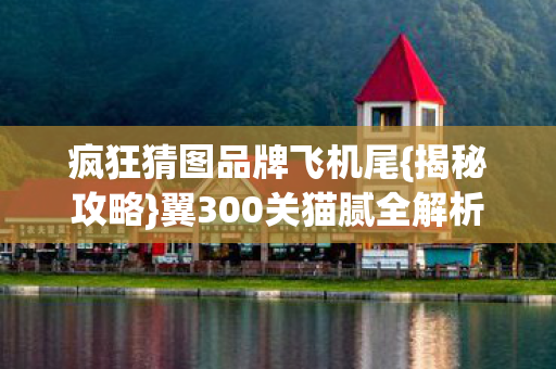 翼300关猫腻全解析图片