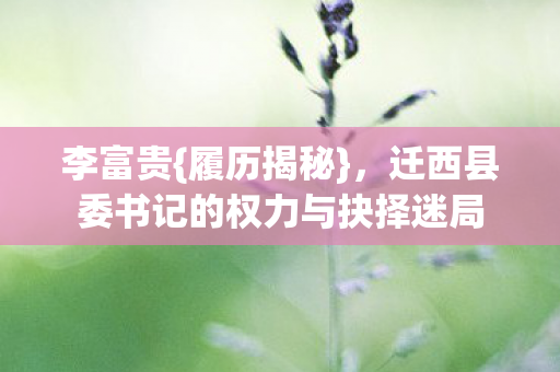 李富贵{履历揭秘},迁西县委书记的权力与抉择迷局 李富贵{履历揭秘},迁西县委书记的权力与抉择迷局