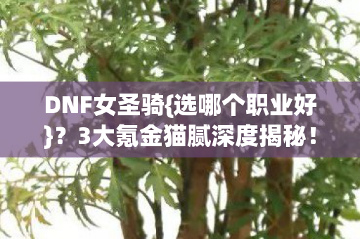 DNF女圣骑{选哪个职业好}?3大氪金猫腻深度揭秘! DNF女圣骑{选哪个职业好}?3大氪金猫腻深度揭秘!