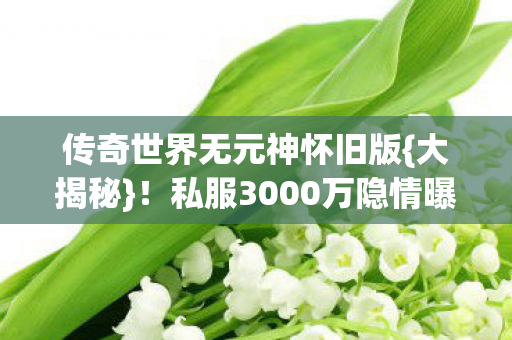 私服3000万隐情曝光图片