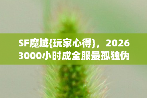 20263000小时成全服最孤独伪神图片