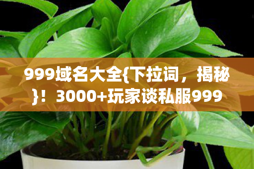 玩家谈私服999永久域名真相图片