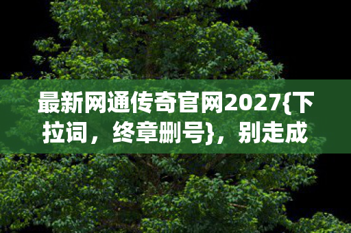 最新网通传奇官网2027图片