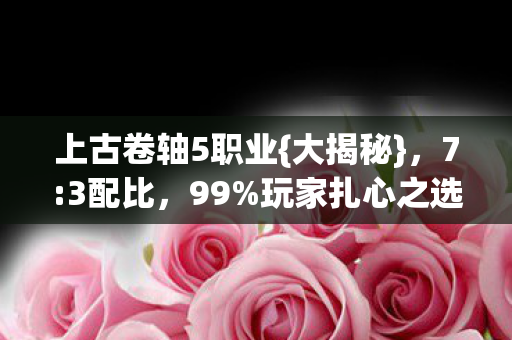 上古卷轴5职业图片