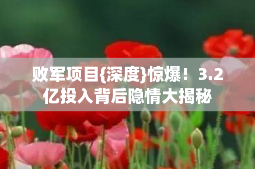 2亿投入背后隐情大揭秘图片