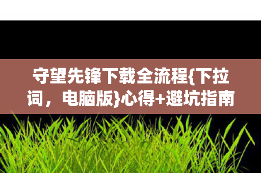 守望先锋下载全流程图片