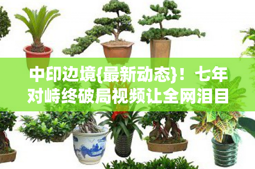中印边境{最新动态}!七年对峙终破局视频让全网泪目 中印边境{最新动态}!七年对峙终破局视频让全网泪目