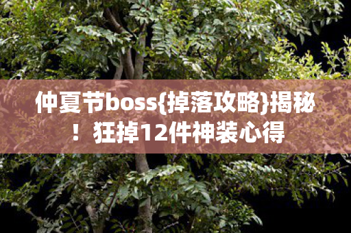 仲夏节boss{掉落攻略}揭秘!狂掉12件神装心得 仲夏节boss{掉落攻略}揭秘!狂掉12件神装心得