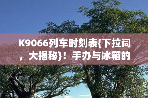K9066列车时刻表{下拉词，大揭秘}！手办与冰箱的意外惊喜