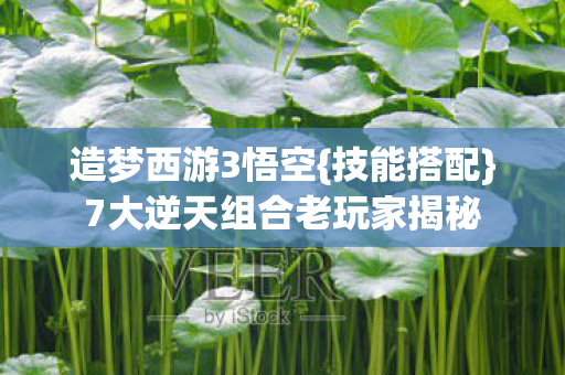 造梦西游3悟空{技能搭配}7大逆天组合老玩家揭秘 造梦西游3悟空{技能搭配}7大逆天组合老玩家揭秘