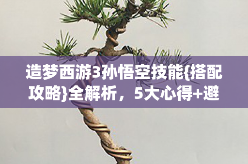 造梦西游3孙悟空技能{搭配攻略}全解析,5大心得+避坑! 造梦西游3孙悟空技能{搭配攻略}全解析,5大心得+避坑!