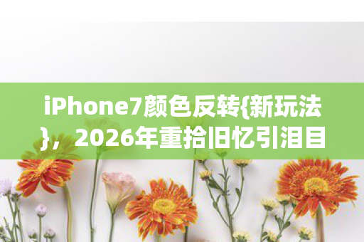 2026年重拾旧忆引泪目图片