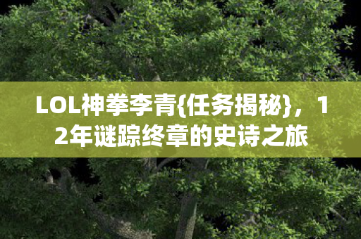 12年谜踪终章的史诗之旅图片