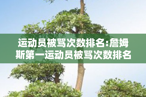 詹姆斯第一运动员被骂次数排名图片