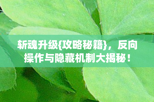 斩魂升级{攻略秘籍},反向操作与隐藏机制大揭秘! 斩魂升级{攻略秘籍},反向操作与隐藏机制大揭秘!
