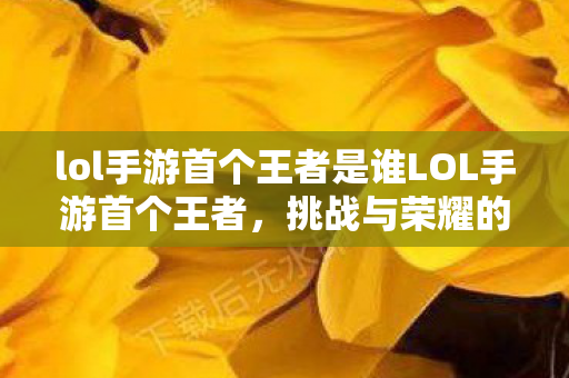 lol手游首个王者是谁LOL手游首个王者图片