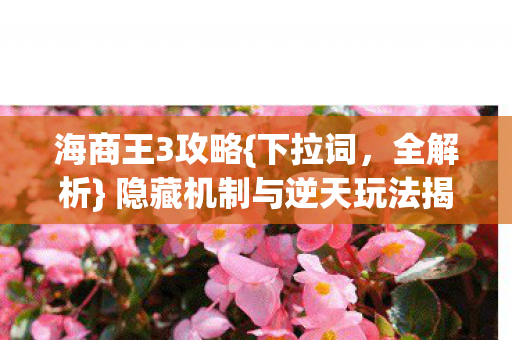 海商王3攻略{下拉词，全解析} 隐藏机制与逆天玩法揭秘