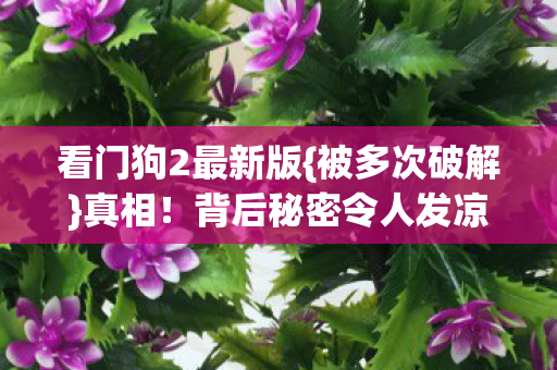 看门狗2最新版{被多次破解}真相！背后秘密令人发凉
