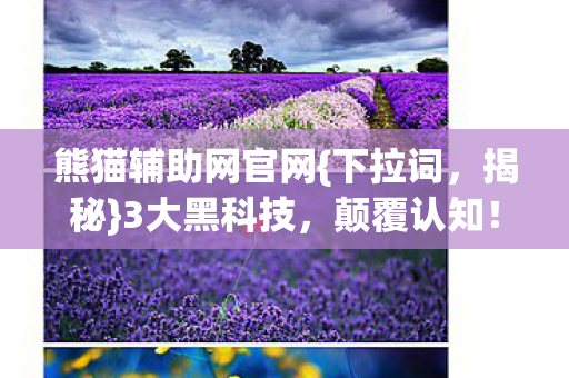 熊猫辅助网官网{下拉词,揭秘}3大黑科技,颠覆认知! 熊猫辅助网官网{下拉词,揭秘}3大黑科技,颠覆认知!