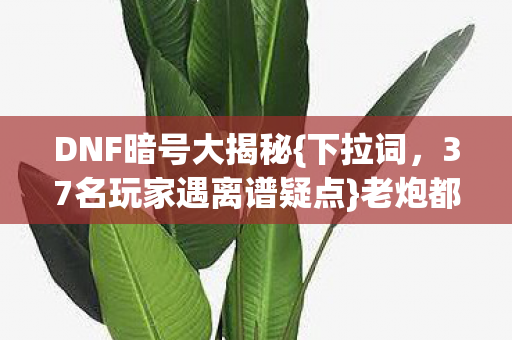 DNF暗号大揭秘{下拉词,37名玩家遇离谱疑点}老炮都绷不住 DNF暗号大揭秘{下拉词,37名玩家遇离谱疑点}老炮都绷不住