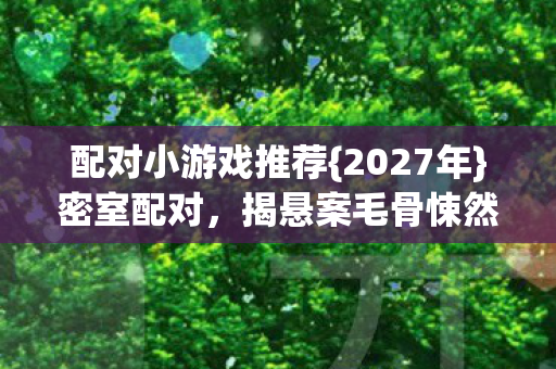 配对小游戏推荐{2027年}密室配对，揭悬案毛骨悚然真相
