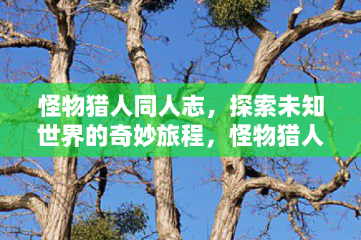 探索未知世界的奇妙旅程图片