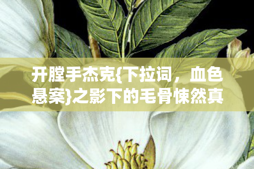 开膛手杰克{下拉词，血色悬案}之影下的毛骨悚然真相
