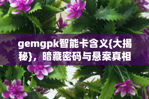 gemgpk智能卡含义{大揭秘}，暗藏密码与悬案真相