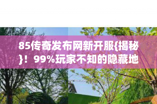 85传奇发布网新开服{揭秘}！99%玩家不知的隐藏地图