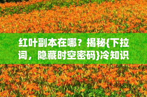 红叶副本在哪图片