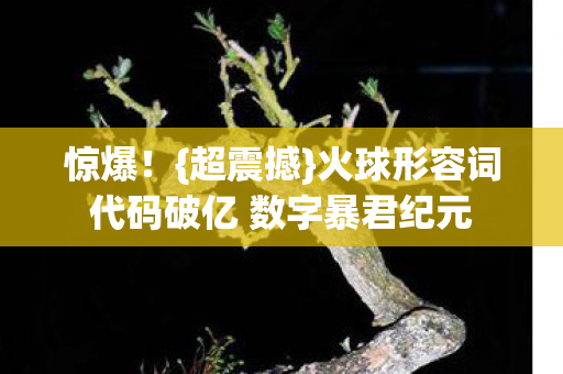 惊爆！{超震撼}火球形容词代码破亿 数字暴君纪元
