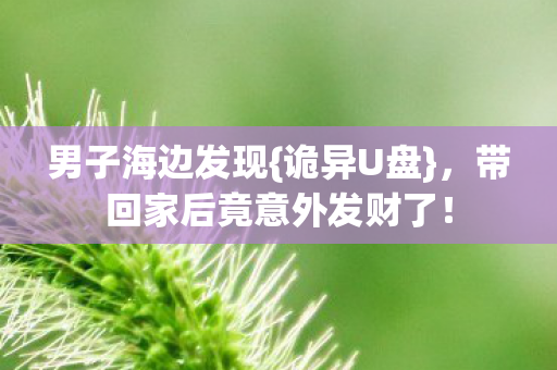 男子海边发现{诡异U盘}，带回家后竟意外发财了！