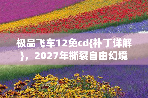 极品飞车12免cd{补丁详解},2027年撕裂自由幻境 极品飞车12免cd{补丁详解},2027年撕裂自由幻境