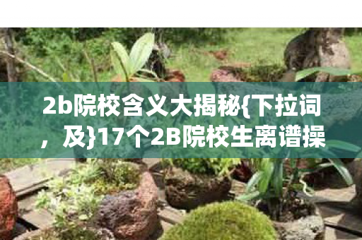 2b院校含义大揭秘{下拉词,及}17个2B院校生离谱操作 2b院校含义大揭秘{下拉词,及}17个2B院校生离谱操作