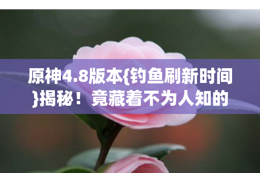 原神4.8版本{钓鱼刷新时间}揭秘!竟藏着不为人知的玄机 原神4.8版本{钓鱼刷新时间}揭秘!竟藏着不为人知的玄机