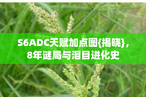 S6ADC天赋加点图{揭晓},8年谜局与泪目进化史 S6ADC天赋加点图{揭晓},8年谜局与泪目进化史