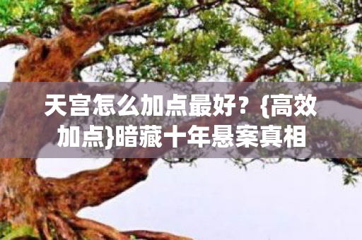 天宫怎么加点最好图片