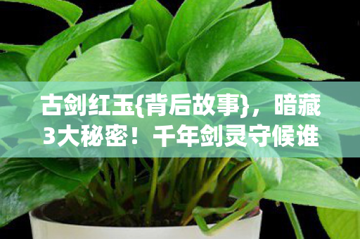 古剑红玉{背后故事}，暗藏3大秘密！千年剑灵守候谁？