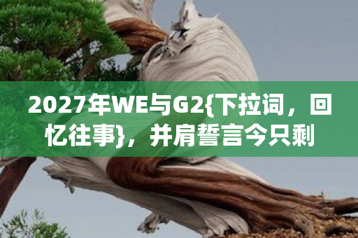 2027年WE与G2{下拉词，回忆往事}，并肩誓言今只剩鼻子一酸