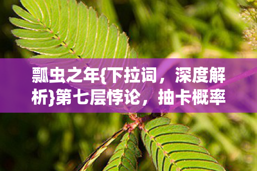 瓢虫之年{下拉词,深度解析}第七层悖论,抽卡概率下的自由与宿命 瓢虫之年{下拉词,深度解析}第七层悖论,抽卡概率下的自由与宿命