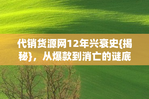 代销货源网12年兴衰史{揭秘},从爆款到消亡的谜底 代销货源网12年兴衰史{揭秘},从爆款到消亡的谜底