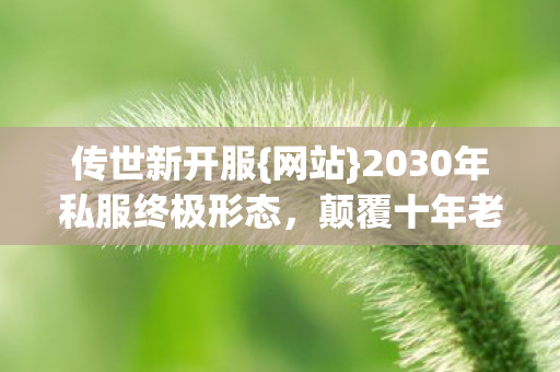 2030年私服终极形态图片