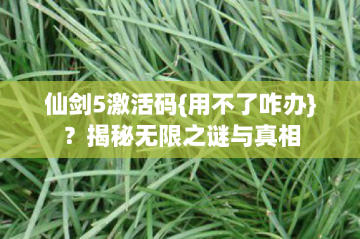 揭秘无限之谜与真相图片
