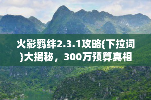 300万预算真相图片