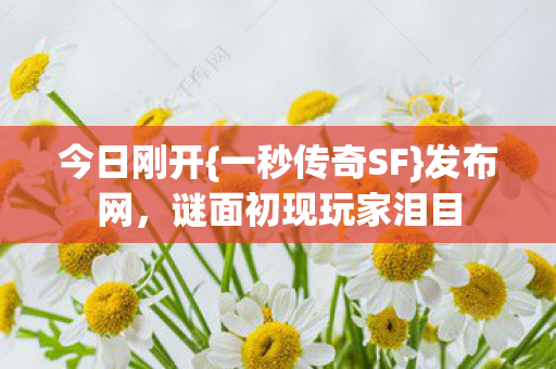 今日刚开{一秒传奇SF}发布网,谜面初现玩家泪目 今日刚开{一秒传奇SF}发布网,谜面初现玩家泪目