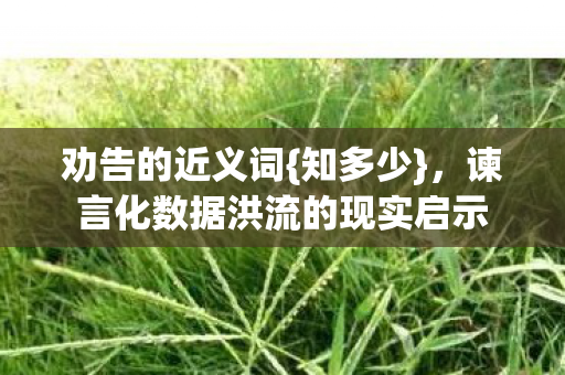 谏言化数据洪流的现实启示图片