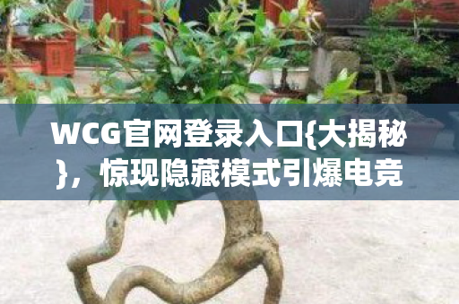 惊现隐藏模式引爆电竞DNA图片