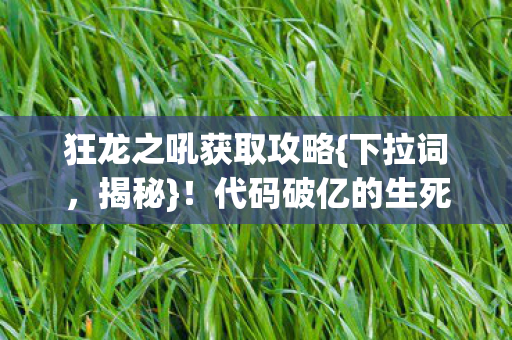 代码破亿的生死局指挥图片