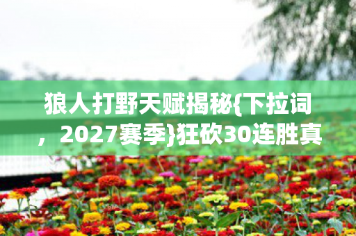 狼人打野天赋揭秘图片