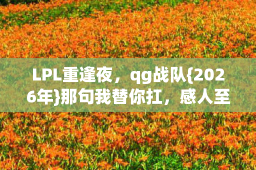 LPL重逢夜图片